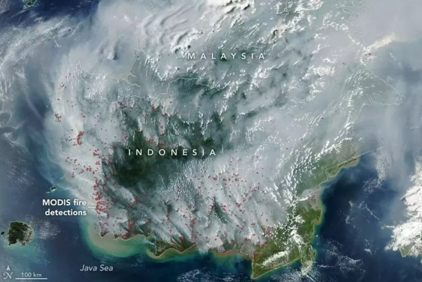 Another “Black Swan” for Pulp? Goldman Sachs: Indonesian Wildfires Are Approaching 2015 Record Levels